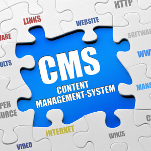 Why Are CMS Websites Budget-Friendly and Beneficial To Small Businesses?