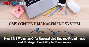 How CMS Websites Offer Budget-Friendliness and Strategic Flexibility for Businesses