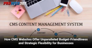 How CMS Websites Offer Budget-Friendliness and Strategic Flexibility for Businesses