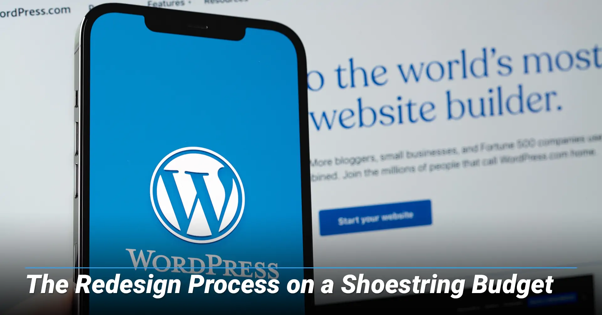 WordPress Website Design in Minnesota